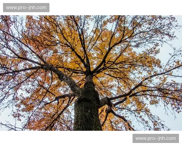 深度：在喧嚣时代的沉静力量